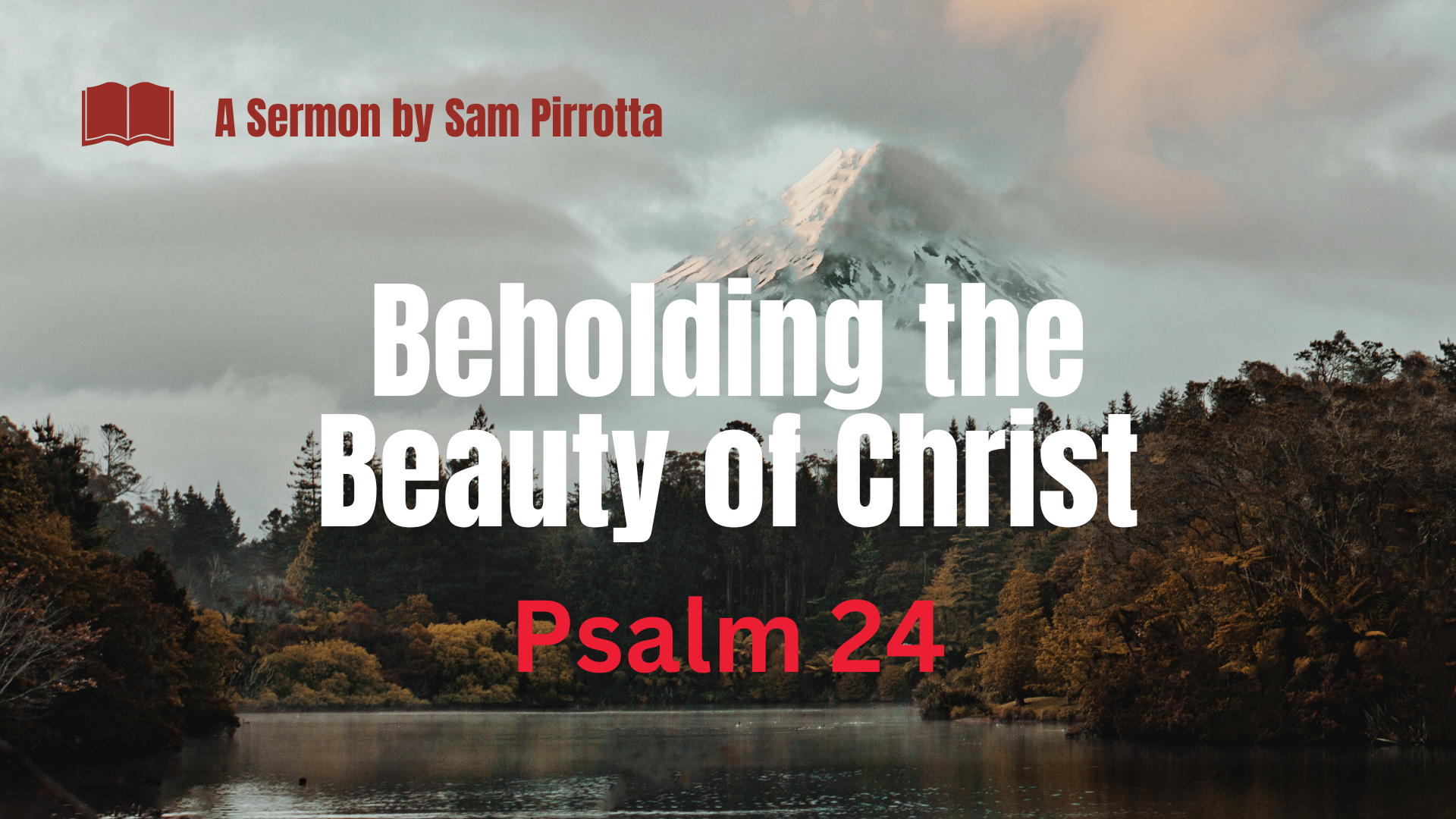 Beholding the Beauty of Christ